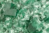 Fluorescent Green Fluorite Cluster - Diana Maria Mine, England #208887-1